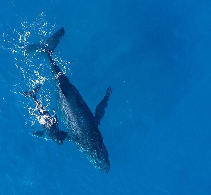 ECOLOGÍA Y REGENERACIÓN03